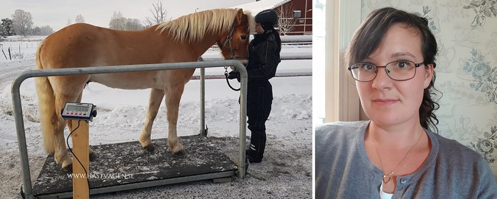 Janina Henningssons affärsidé är att väga hästar. Foto: Privat 
