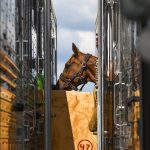 Hästarna kommer till Greeneville Spartanburg, South Carolina (USA) 
Foto: FEI/Tori Repole
