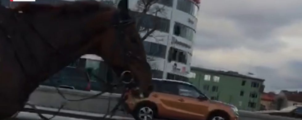 SVT Nyheter fick in film från en bilist som körde längs E4:an i höjd med Järva Krog. Då blev han omkörd – av en häst. Foto: Skärmkopia