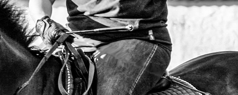 Anpassning av sadel efter häst och val av häst är viktigt för den tyngre ryttaren. Foto: Kim C Lundin