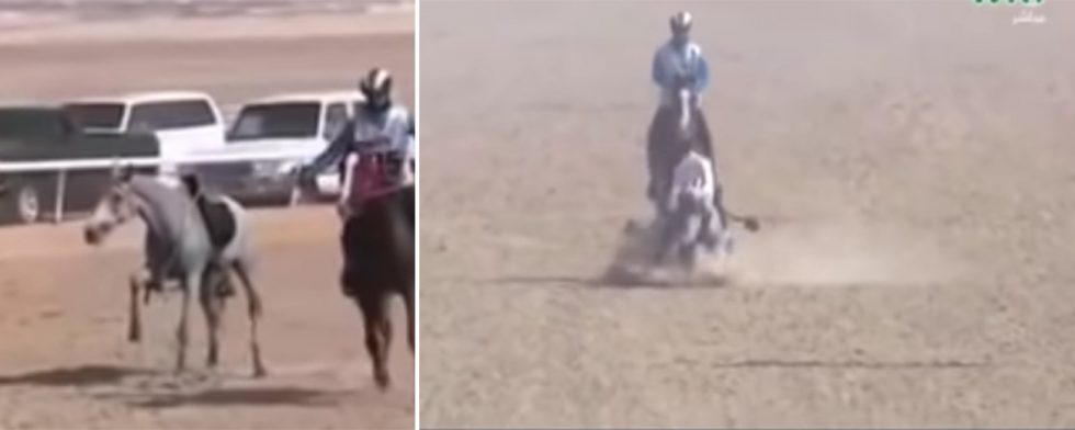 Scener ur filmklippet där e häst bryter benet. 