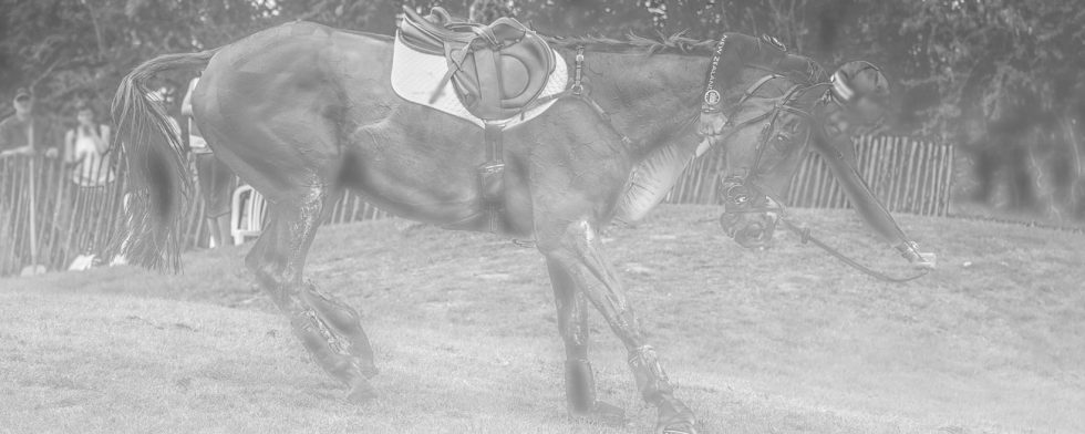 En brusten artär fick hästen Natasha Gulpin red att falla så olyckligt att hennes liv inte gick att rädda. Bilden är enbart en illustration och ej relaterad till olyckan. Foto: Kim C Lundin