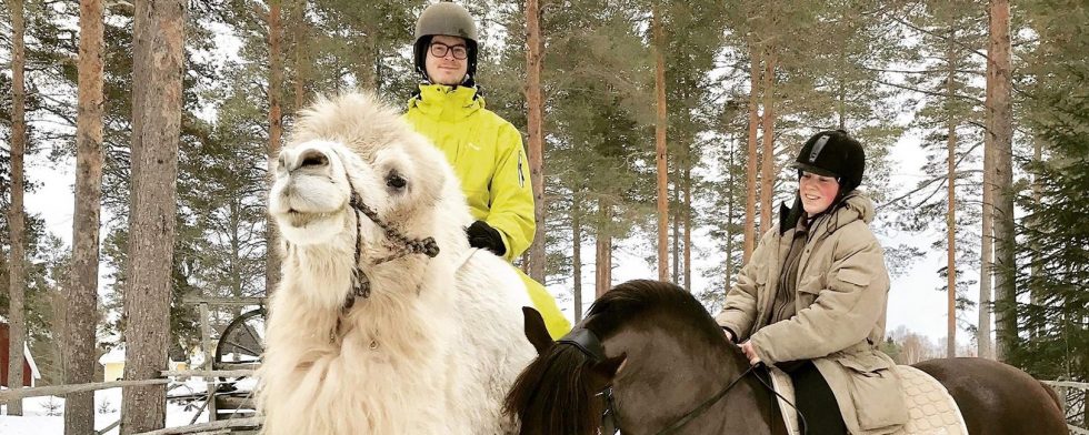 Andreas Eriksson rider kamelen Herman och Elisa Thorell till häst. Foto: Privat 
