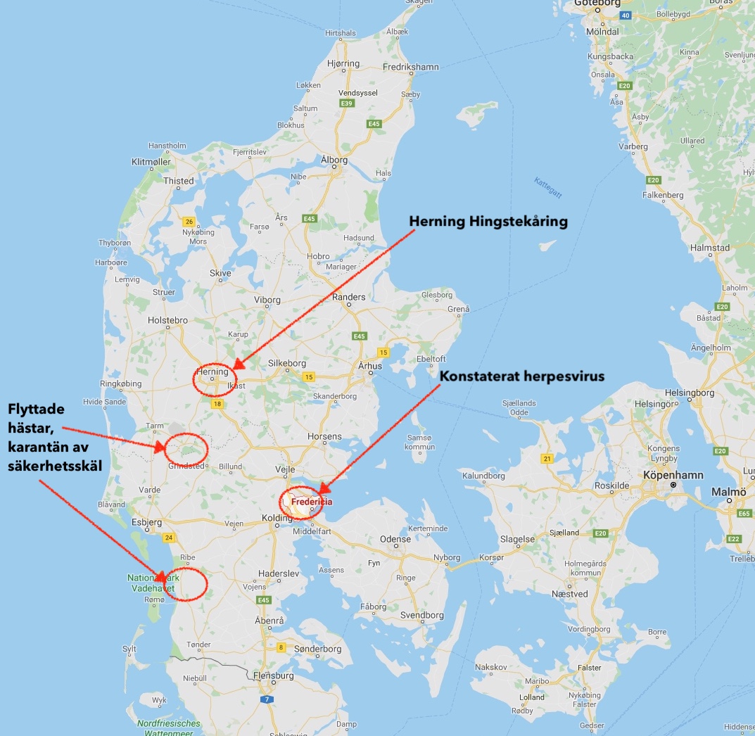 Herning klarade smittskyddet – Jylland drabbat av herpesvirus - Ridenews