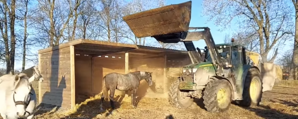 En hopphäst som står pall för ett traktormonster är inte så dumt att ha Foto: skärmkopia