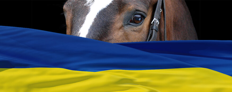 ukraina nonsens häst