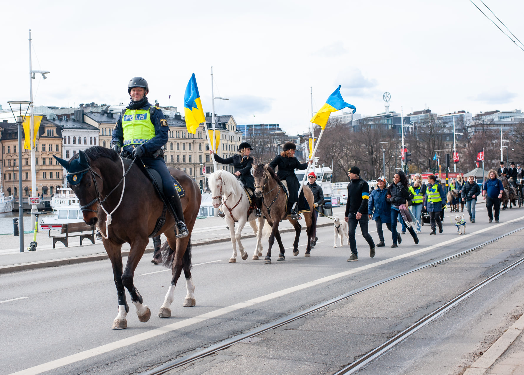 Parad för Ukraina djur svenska djurskyddsföreningen